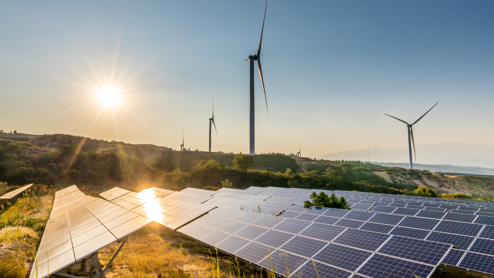 Yeşil Enerji Projeleri ve Doğa Tahribatı: Türkiye’de Enerji Yatırımları ve Çevresel Endişeler